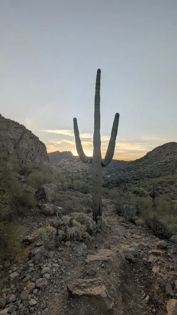 PXL_20260315_135014001